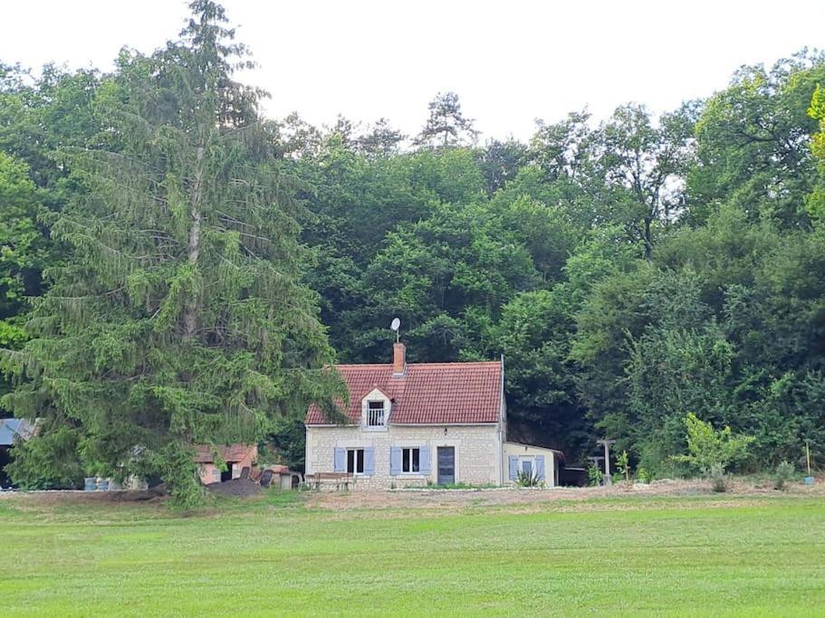 Superbe Lodge 4-8 Pers A 15 Mn Zoo Beauval Faverolles  Екстериор снимка